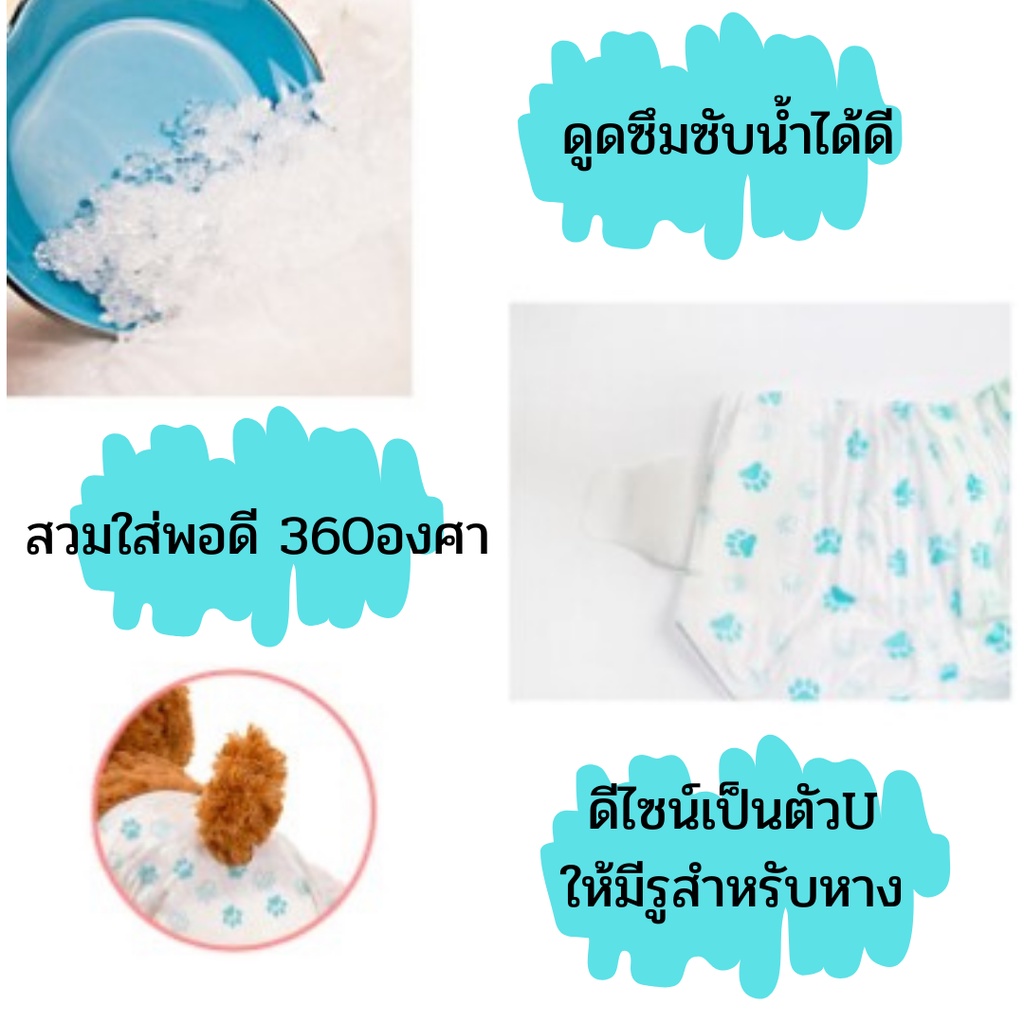 ผ้าอ้อมสุนัข-petsoft-ขอบยางนุ่ม-ผ้าอ้อมสัตว์เลี้ยง-แพมเพิสสุนัข-แพมเพิสสัตว์เลี้ยง-ซึมซับดีมากตลอดคืน-เพศเมีย