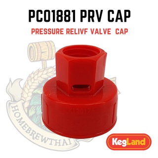 สินค้า PRV Cap - Gas Pressure Relief Valve Cap