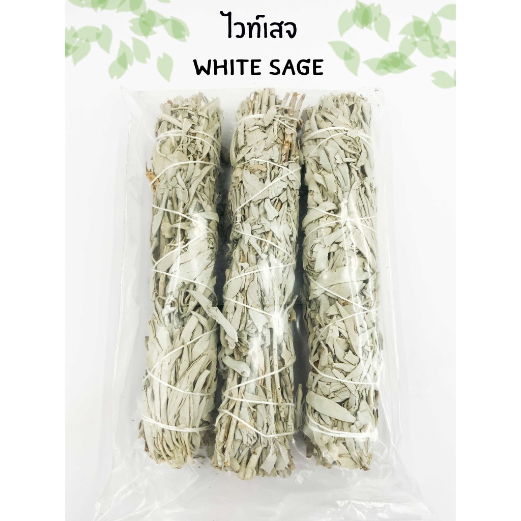 เครื่องใช้ในบ้าน White Sage แคลิฟอร์เนีย ไวท์เสจ ใบไวท์เสจ (California ...
