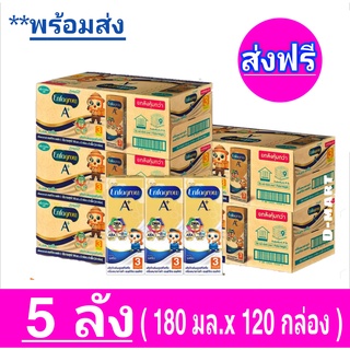 [ ส่งฟรี 5 ลัง ] เอนฟาโกร เอพลัส นมยูเอชที รสจืด สูตร 3 ขนาด180 มิลลิลิตร แพ็ค 24 กล่อง X5 ลัง (รวม 120 กล่อง