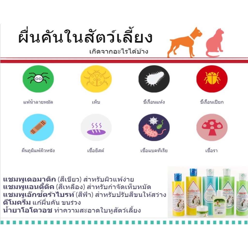 ดีโมครีม-democream-ครีมทาผิวหนังสุนัข-แมว-สัตว์เลี้ยง-แก้ขนร่วง-ช่วยปลูกขน-ครีมทาผื่นคันหมาแมว-ครีมทาผื่นหมาแมว