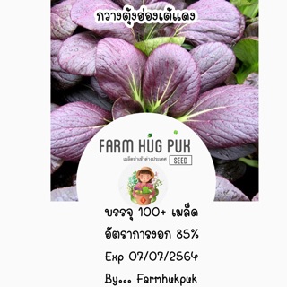 เมล็ดผักกาดฮ่องเต้ใบแดง100+เมล็ด