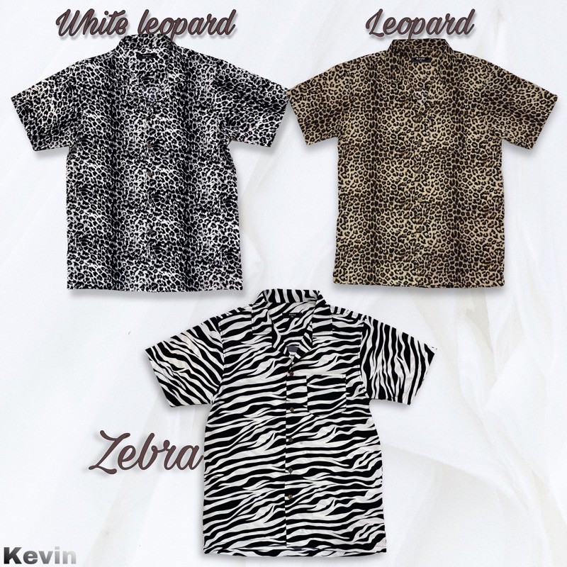 รูปภาพสินค้าแรกของเสื้อฮาวายลายเสือและม้าลาย M-XXXL animal printed cuba collar shirt