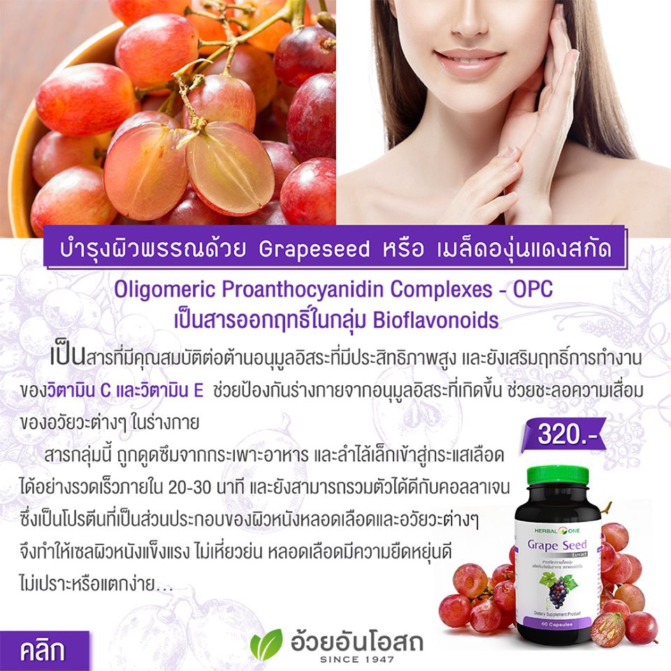 herbal-one-grape-seed-extract-เฮอร์บัล-วัน-สารสกัดเมล็ดองุ่น