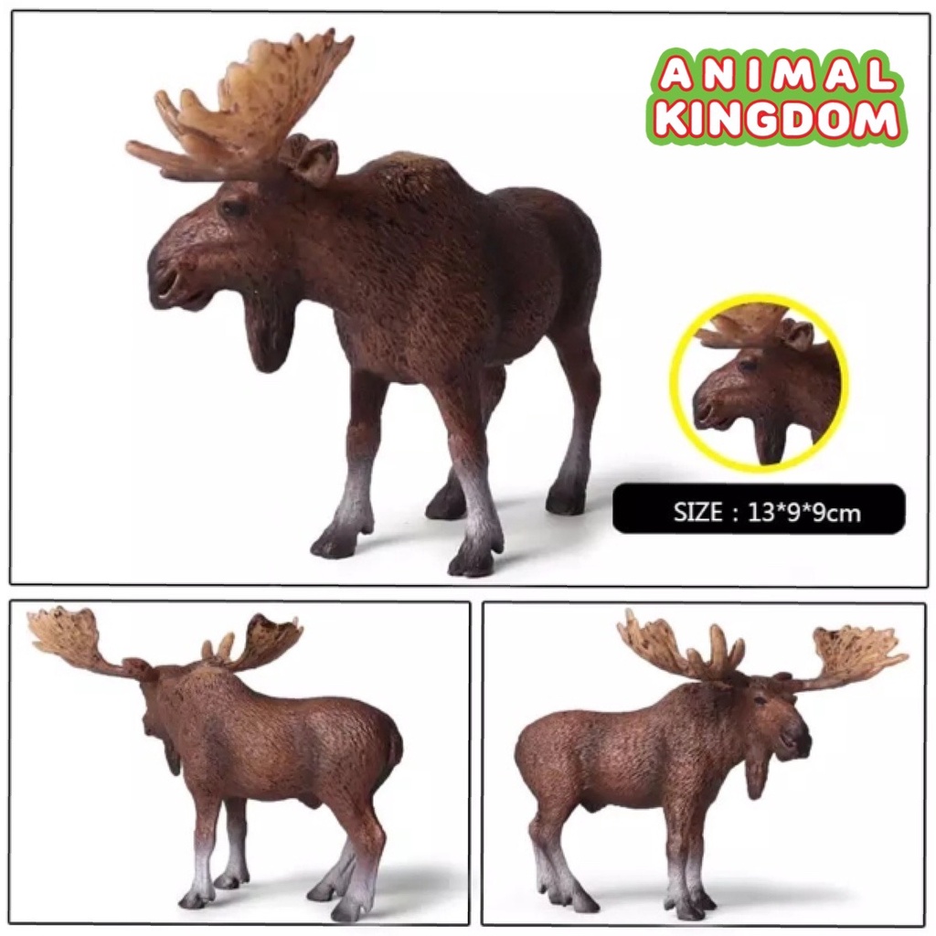 animal-kingdom-โมเดลสัตว์-กวางมูส-ขนาด-13-00-cm-จากหาดใหญ่