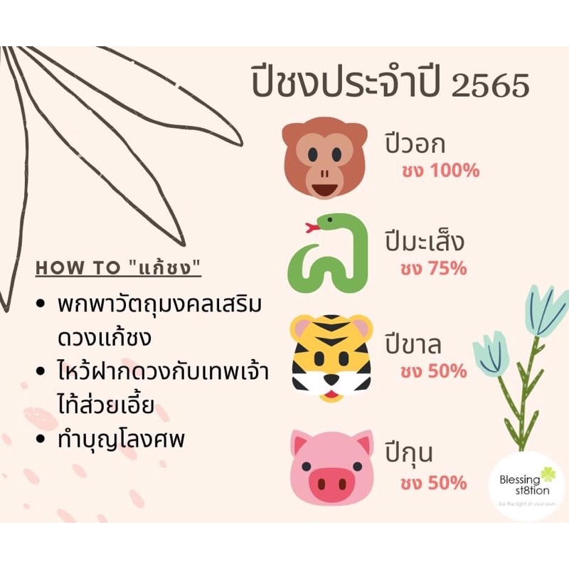 กำไลปี่เซี่ยะ-หลังกังหัน-หินควอทใส-เขี้ยวหนุมาน-ขนาด-10-mm-พิเศษ-ค่าบูชา469-ถึงกุมภาพันธ์นี้เท่านั้น