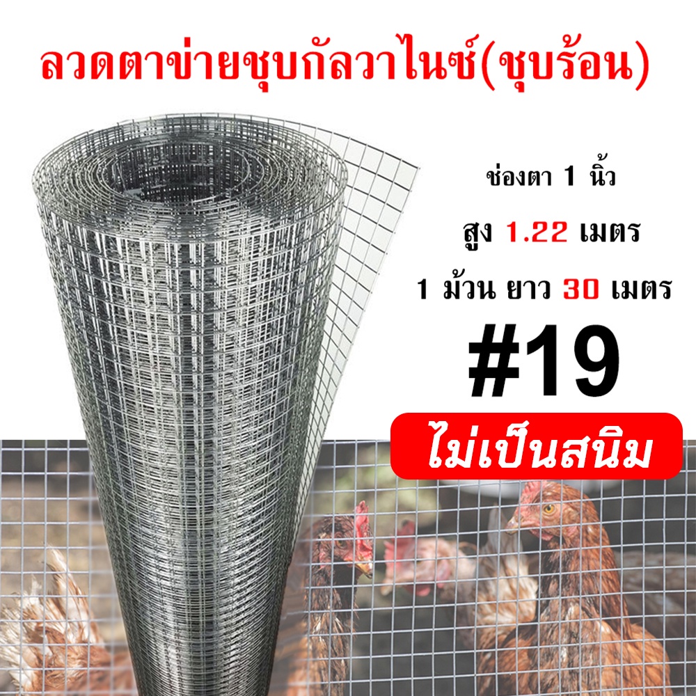 ลวดตาข่ายสี่เหลี่ยมชุบกัลวาไนซ์-ชุบร้อน-ตา1นิ้ว-ลวด1มิล-หน้ากว้าง1-2x30เมตร-กรงไก่-ล้อมต้นไม้-ไม้เลื้อย-ไม่เป็นสนิม