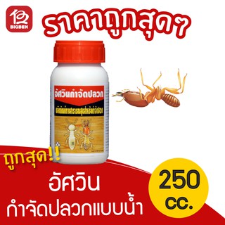 [1 ขวด] อัศวิน กำจัดปลวก น้ำยากำจัดปลวก จัดแมลงสาบตายยกรัง คงฤทธิ์ 4 ปี 250 ซีซี