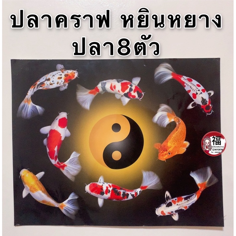 รูปภาพมงคล-ปลาคราฟ8ตัว-ว่ายรอบหยินหยาง-เหลืองดำ-เงินทอง-สุขภาพ-ไหลเวียนดี-ขนาดภาพ-16x20นิ้ว-40-6x50-8-ซม