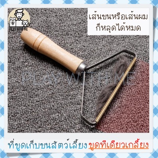 ภาพขนาดย่อของภาพหน้าปกสินค้าพร้อมส่ง ที่ขูด เก็บขนสัตว์เลี้ยง กำจัดขนสัตว์เลี้ยง ที่เก็บขน แมว สุนัข บนพรม โซฟา จากร้าน anancamjan บน Shopee