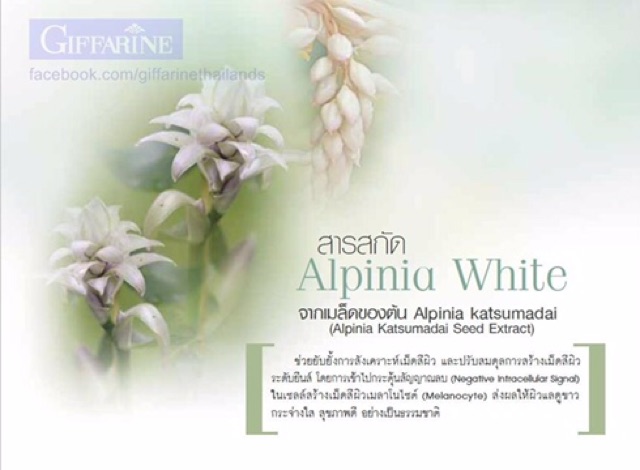 เอดดัลไวส์-ไวท์เทนนิ่ง-ซีรั่ม-เซรั่มหน้าขาว-ใส-เซรั่มหน้าใส-กิฟฟารีน