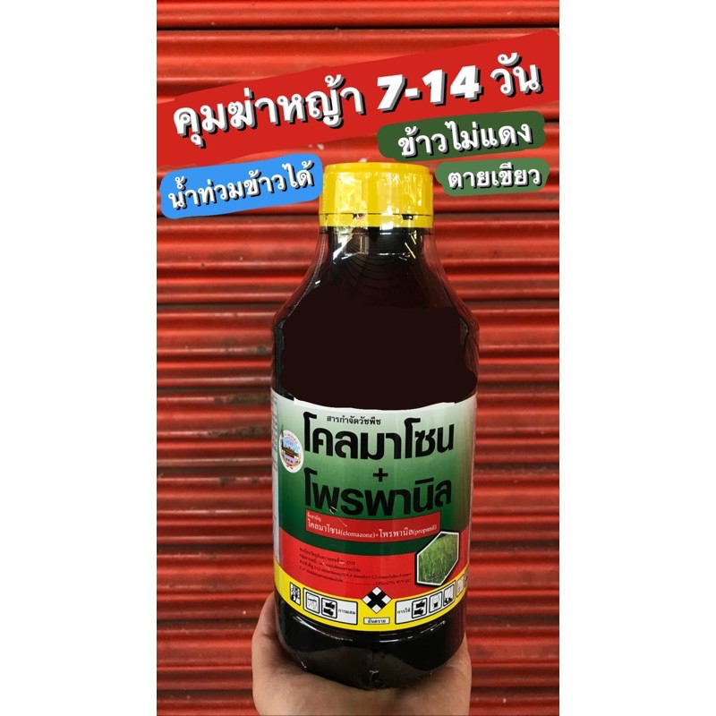 คุมฆ่า-ยาคุมฆ่า-โคลมาโซน-โพรพานิล-ยาคุมฆ่าหญ้า-ช่วงข้าวอายุ-7-15-วัน-ข้าวไม่แดง-ไม่โทรม-น้ำท่วมยอดข้าวได้