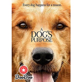 dvd ภาพยนตร์ A Dogs Purpose หมา เป้าหมาย และเด็กชายของผม ดีวีดีหนัง dvd หนัง dvd หนังเก่า ดีวีดีหนังแอ๊คชั่น