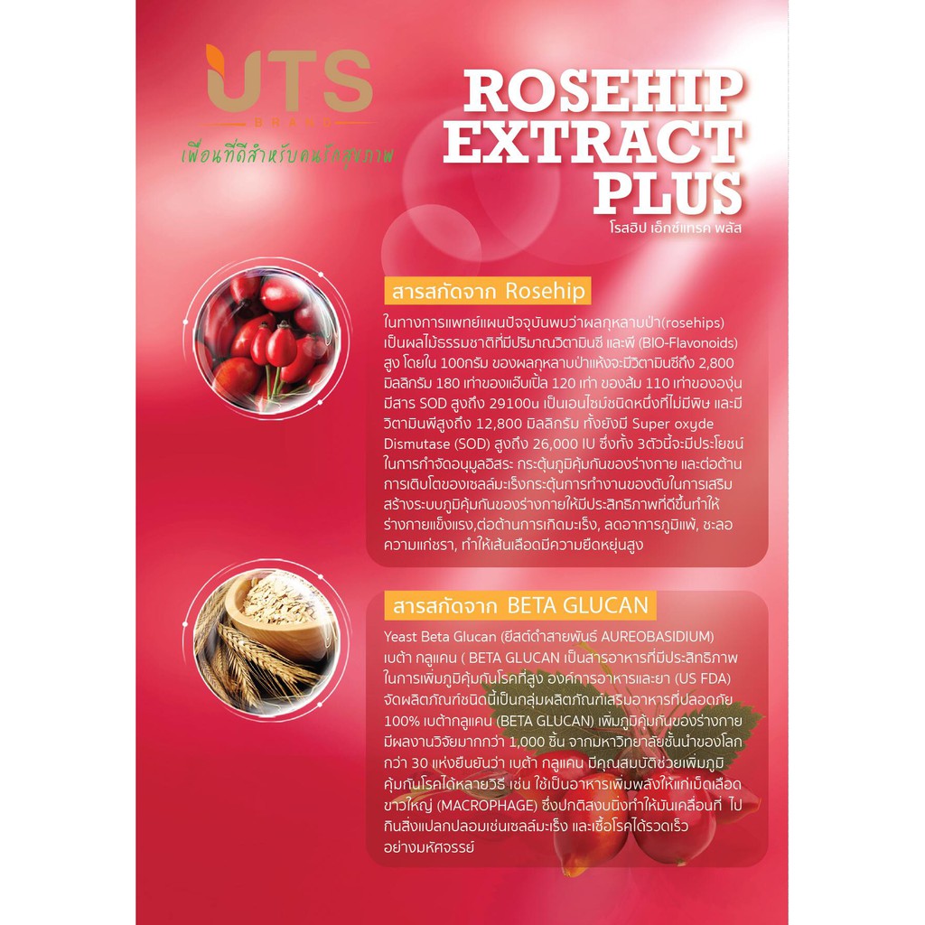 rosehip-extract-plus-สร้างภูมิคุ้มกันโรค-ชลอความแก่ชรา-ฟื้นฟูสมรรถภาพภายในร่างกาย