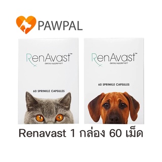 ภาพหน้าปกสินค้าRenAvast เรนอะวาสท์ อาหารเสริมโปรตีน บำรุงไต สุนัข แมว สัตว์เลี้ยง โรคไต Renal supplement dog cat (1 กล่อง 60 แคปซูล) ที่เกี่ยวข้อง