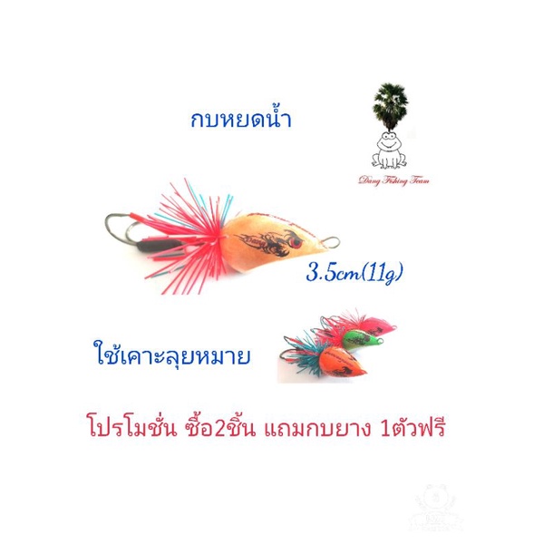 กบหยดน้ำ-ขนาด3-5cm-เคาะลุยหมาย-โปรซื้อ-2-แถมกบยาง1