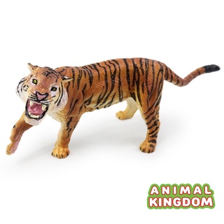 Animal Kingdom - โมเดลสัตว์ พ่อเสือ ขนาด 15.00 CM (จากหาดใหญ่)