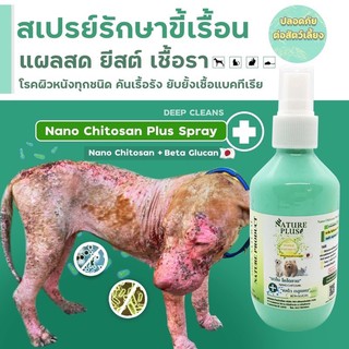 สินค้า สเปรย์นาโนไคโตซานพลัส รุ่นใหม่ เห็นผลไวกว่าเดิม แผล/ผิวหนัง หายไวหายชัวร์