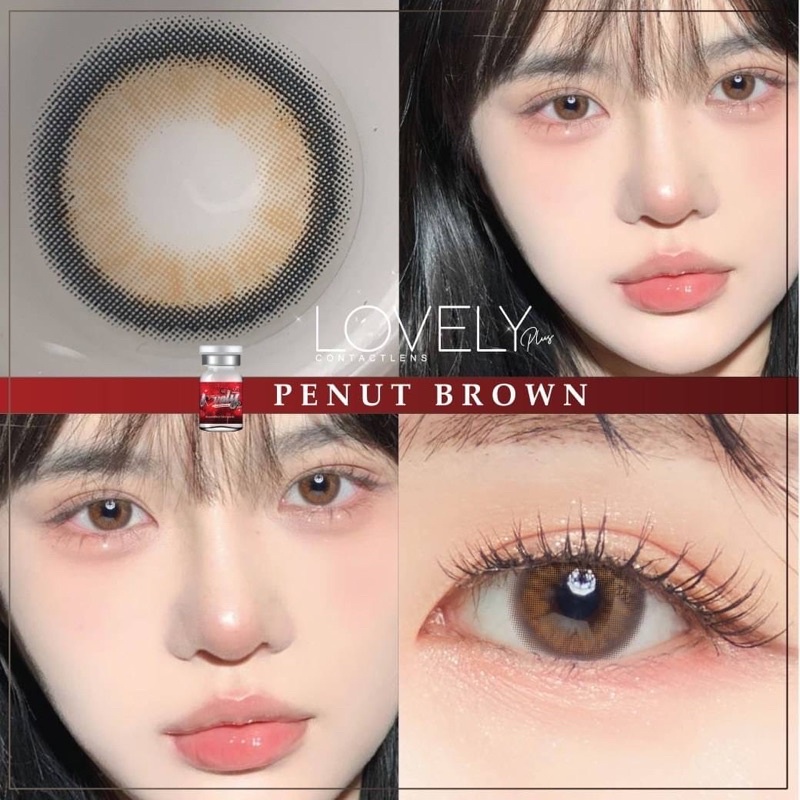 penut-brown-lovely-lens-ขนาดมินิ-mini-เลนส์จดทะเบียนเป็นเครื่องมือทางแพทย์-เลนส์เกาหลีนำเข้าถูกต้อง