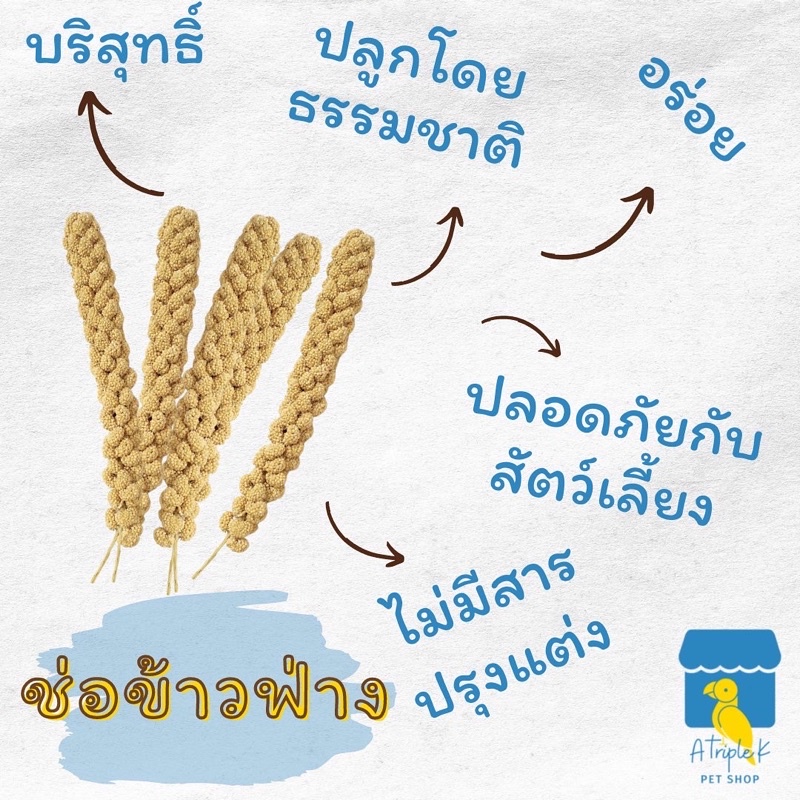 marukan-มารุคัง-ข้าวฟ่าง-millet-spray-แพคสุดคุ้ม-15ช่อ-นำเข้าจากญี่ปุ่น-mr836