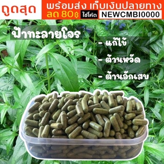 ภาพหน้าปกสินค้า🌱ฟ้าทะลายโจรบรรจุแคปซูล ใช้ใบล้วน ๆ ไม่ผสม ฟ้าทลายโจร Organic 100% ผลิตจากภูมิปัญญาชาวบ้าน ซึ่งคุณอาจชอบสินค้านี้