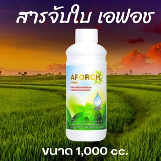 ส่งไวพร้อมส่ง   เอฟอช Aforch (1 ลิตร) สารจับใบ ชนิดเร่งดูดซึมไว