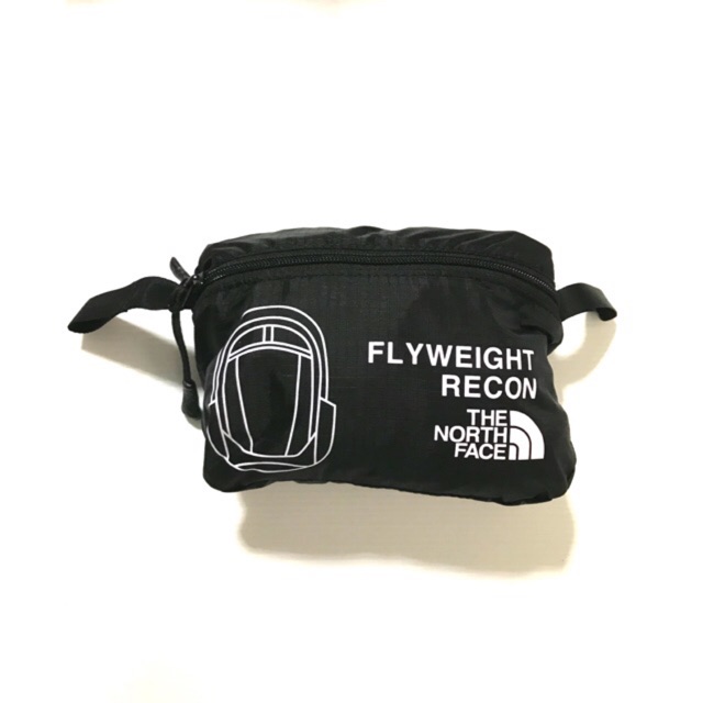 日本大特価祭 【廃盤】THE NORTH FACE FLYWEIGHT RECON - バッグ