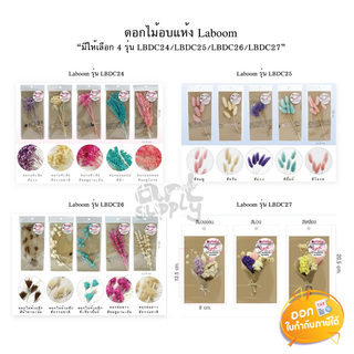 ดอกไม้อบแห้ง Laboom รุ่น LBDC24/LBDC25/LBDC26/LBDC27 **คละสี**