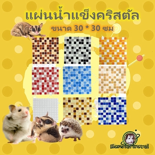 [hammy science] XS/S แผ่นทำความเย็นหนูแฮมสเตอร์, เครื่องทำความเย็นในช่วงฤดูร้อน, ตู้แช่สัตว์เลี้ยง, กระต่าย, กระรอกBB