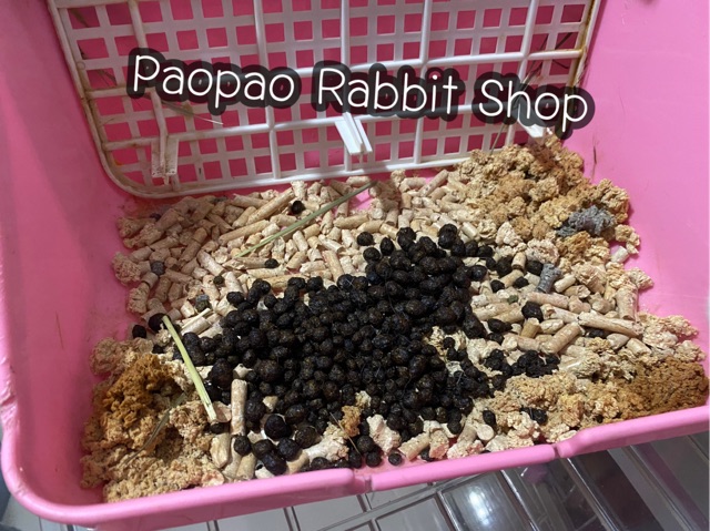 ภาพหน้าปกสินค้าขี้เลื่อยไม้สนอัดเม็ด 5 kg. ดับกลิ่นฉี่สัตว์เลี้ยงได้ดี จากร้าน paopao_rabbit_shop บน Shopee