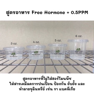 ภาพขนาดย่อของภาพหน้าปกสินค้าจัดเซต 6 + PPM - อาหารเพาะเลี้ยงเนื้อเยื่อพืช จากร้าน bonnie.planttissue บน Shopee ภาพที่ 5