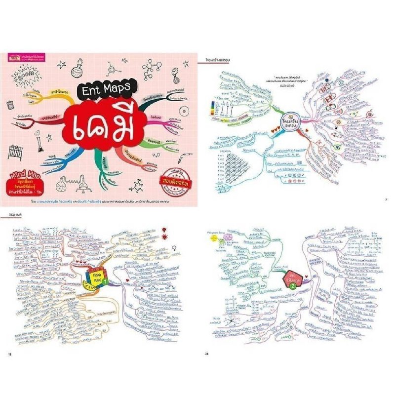 ent-maps-สรุปเนื้อหาระดับมัธยมปลาย