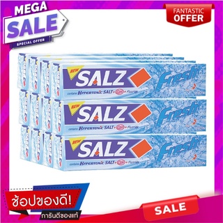 ซอลส์ ยาสีฟัน สูตรเฟรช แจเปนนิส มิ้นท์ ขนาด 40 กรัม แพ็ค 12 กล่อง ผลิตภัณฑ์ดูแลช่องปากและฟัน Salz Toothpaste Fresh 40 g