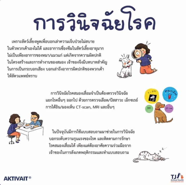 aktivait-อาหารเสริมบำรุงสมองและระบบประสาท-สำหรับสุนัขขนาดกลาง-ใหญ่-60-แคปซูล