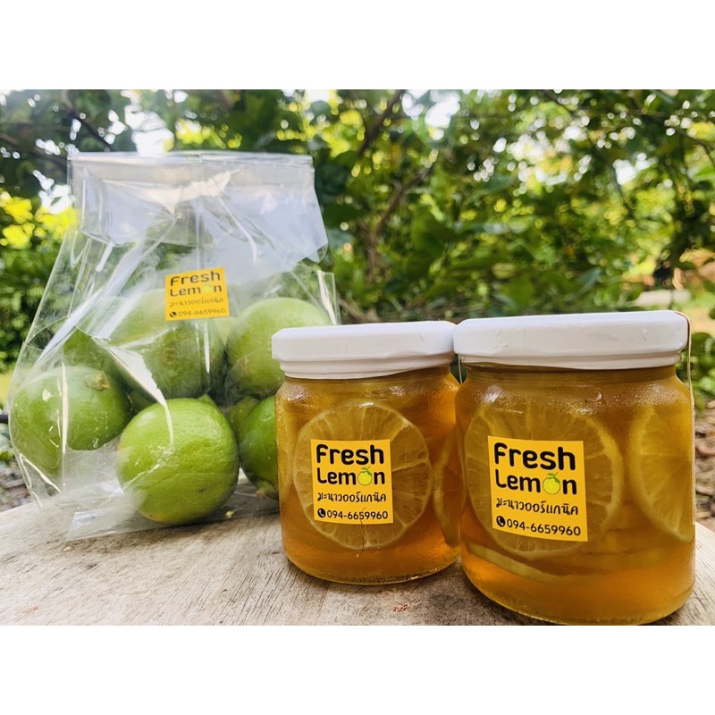 ภาพสินค้าfresh lemon มะนาวน้ำผึ้ง (210 ml) ไม่ใส่สารกันบูด ใช้มะนาวออร์แกนิคและน้ำผึ้งเดือน 5 คัดสรรมาอย่างดี จากร้าน ying128887 บน Shopee ภาพที่ 4