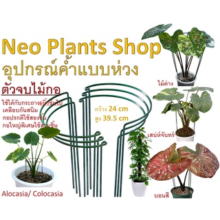 ไม้ค้ำแบบห่วง ไม้ค้ำ ไม้ค้ำบอนสี ต้นไม้ สวน บอนสี เสน่ห์จันทร์ Colocasia Alocasia ประกอบกอละ2 ชิ้นกอใหญ่3ชิ้น พร้อมส่ง