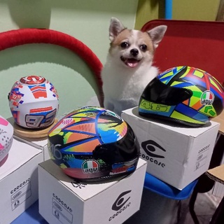 หมวกกันน็อคเต็มใบ หมา/แมว หมวกสำหรับสัตว์เลี้ยงพันธุ์เล็ก pet helmet for cat &amp; dog