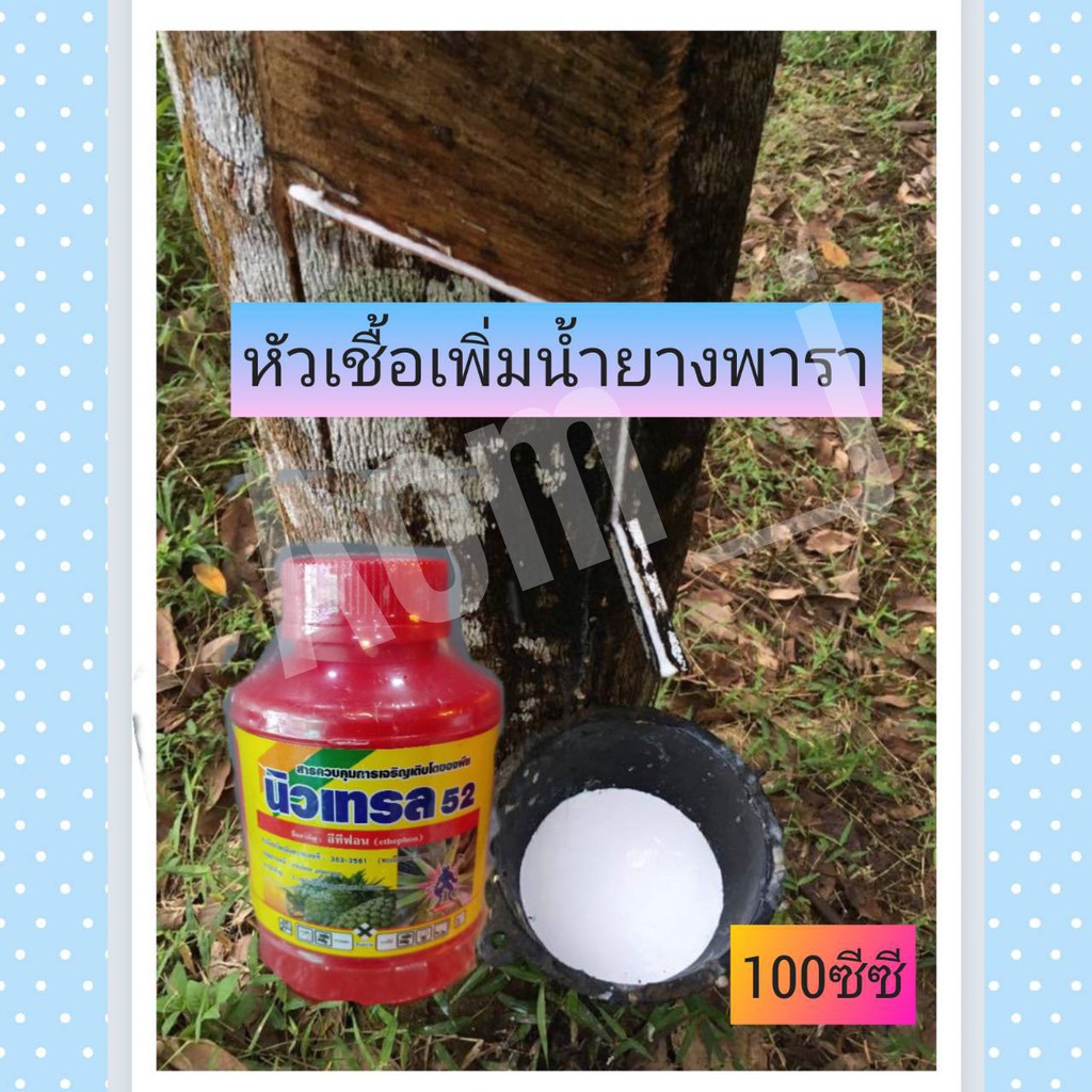 นิวเทรน-52-อีทีฟอน-เร่งน้ำยาง-เร่งบ่มสุก-ขนาด100-cc-สูตรน้ำใส