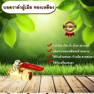 บอลวาล์วผู้เมีย ทองเหลือง วาล์วปิด-เปิด น้ำ น้ำยา สารเคมี หัวทองเหลือง allaboutplants