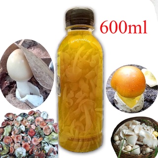 เชื้อเห็ดป่ารวม1ขวด600ml เชื้อเห็ดระโงก เห็ดไค เห็ดผึังหวาน เห็ดน้ำหมาก เห็ดหน้าแหล่ เห็ดถ่าน สั่งซื้อจำนวน5ขวด แถมฟรี 1