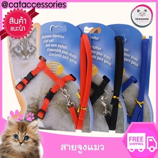 Cat Accessories สายรัดจูงแมว สายจูงแมว ปรับขนาดได้ อุปกรณ์แต่งตัวแมว พาแมวเดินเล่น มีให้เลือก4สี