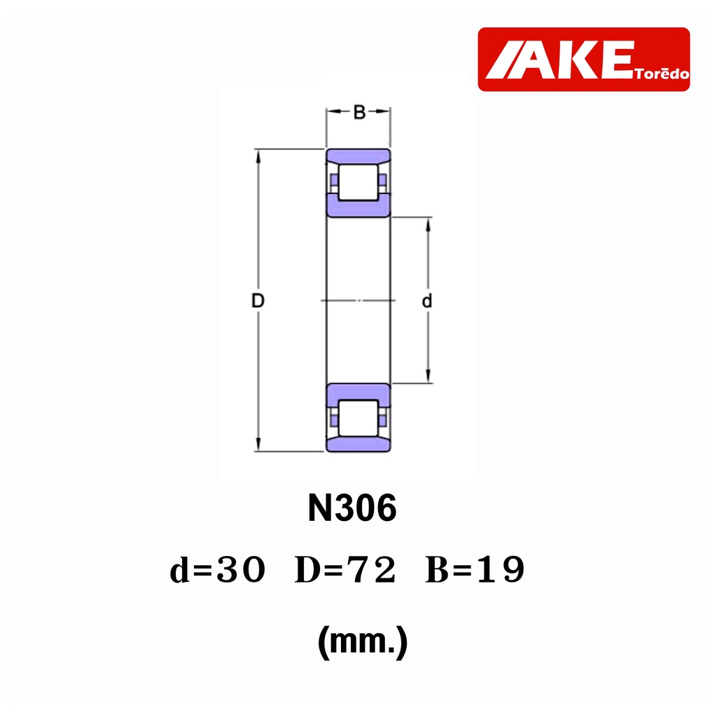 n304-n305-n306-n308-n309-n310-ตลับลูกปืนลูกกลิ้งทรงกระบอก-cylindrical-roller-bearings-ลูกปืนเม็ดทรงกระบอก