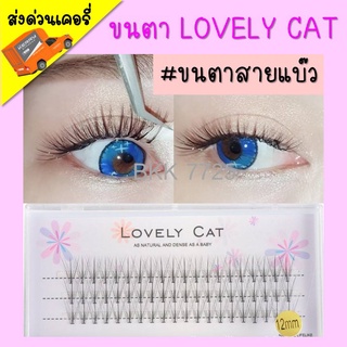 ราคา🥰ส่งด่วนเคอรี่🥰LOVELY CAT 10D 8-12 mm ขนตาแบ๊ว