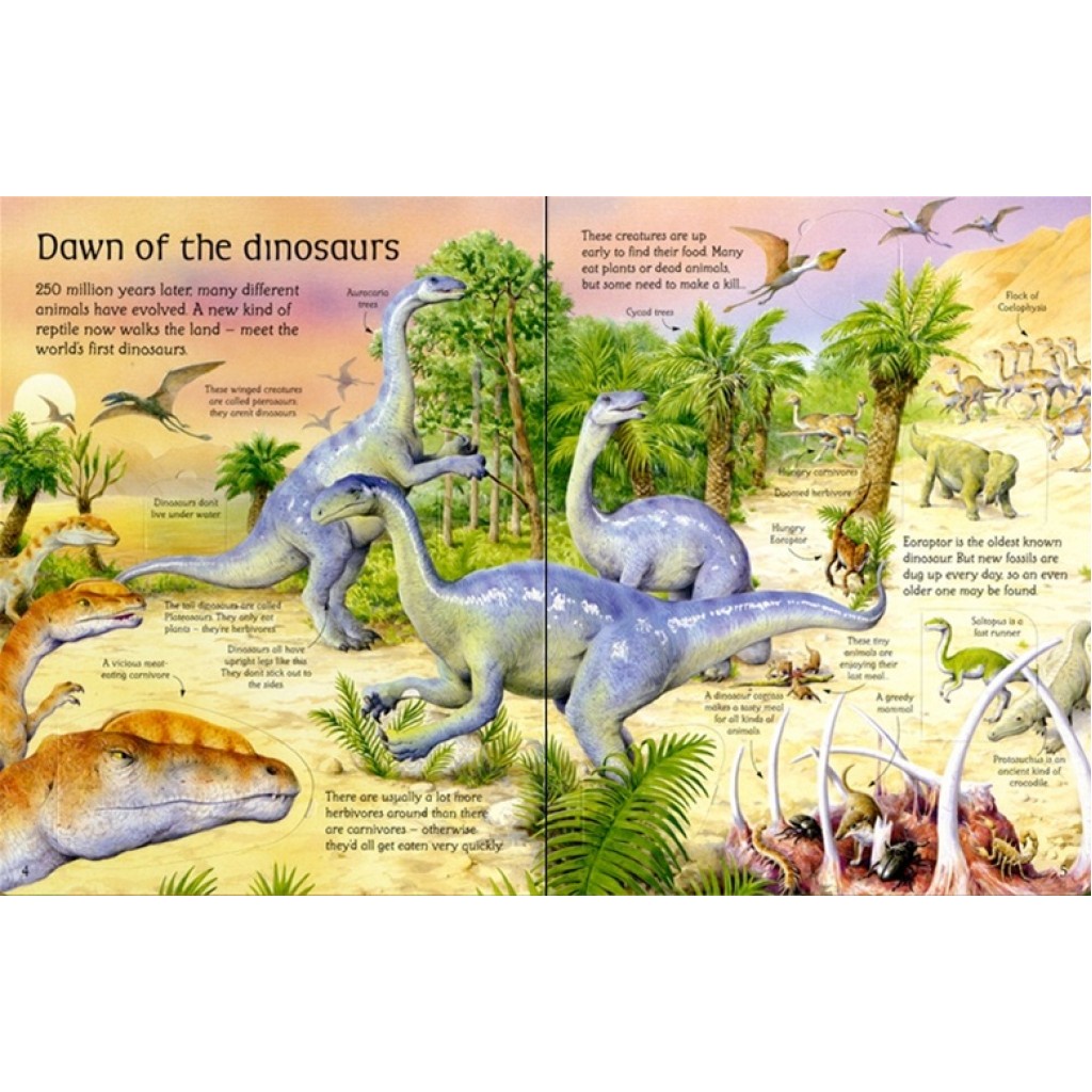 พร้อมส่ง-หนังสือบอรดบุ๊ค-usborne-see-inside-the-world-of-dinosaurs