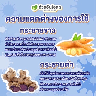 ภาพขนาดย่อของภาพหน้าปกสินค้าแท้ % ค่าส่งถูก กระชายสกัด Herbal one อ้วยอันโอสถ 60 แคปซูล จากร้าน yoon65_lucrative บน Shopee ภาพที่ 7