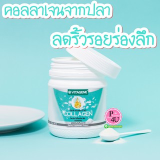 ภาพหน้าปกสินค้าพร้อมส่ง!! VITAGENE Hydrolyzed Fish Collagen วิตาจิเน่ ไฮโดรไลซ์ ฟิช คอลลาเจน (150 g) คอลลาเจน เปปไทด์ จากปลา 1000มก. ที่เกี่ยวข้อง