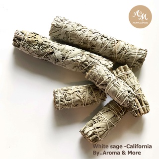 Aroma&amp;More ไวท์ เสจ White Sage smudge - California สำหรับจุดขับไล่ปัดเป่า สร้างพลังงานบวก ล้างหิน ไพ่ cleanse your mind