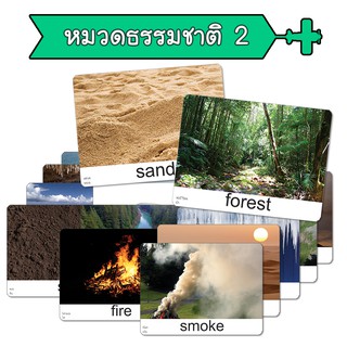 สินค้า แฟลชการ์ด หมวดธรรมชาติ 2 บัตรคำ แนวการสอนเดียวกับ ชิจิดะ เฮกุรุ บัตรคำศัพท์  Flashcard