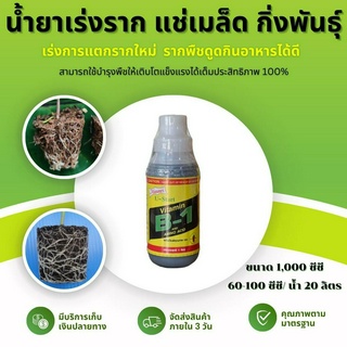 B1 Vitamim ยาเร่งราก (1ลิตร) แช่เมล็ด แช่กิ่งพันธุ์ น้ำยาเร่งราก B-1 บี1 วิตามินบี1 VitamimB1