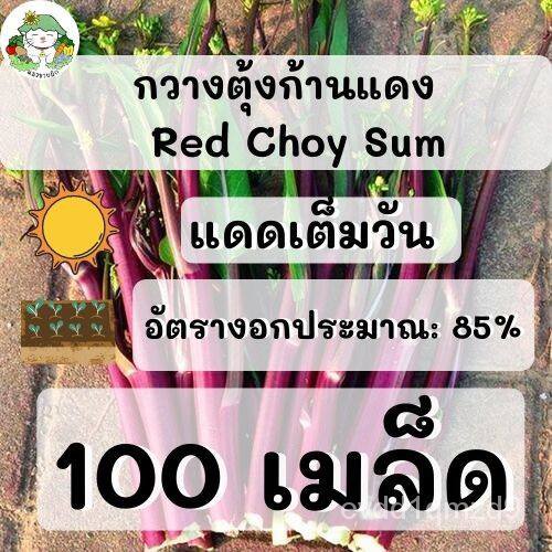 เมล็ดพันธุ์-ผักกวางตุ้ง-ก้านแดง-500-เมล็ด-red-choy-sum-เมล็ดพันธุ์แท้-นำเข้าจากต่างประเทศ-ปลูกผักสวนครัว-เมล็ดผัก-โตไว-เ